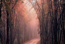 卡塔尔和中国的时差是多少？生活出行该注意什么？