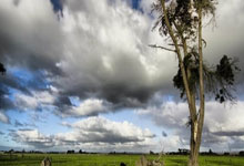 足球比分旧版新浪有哪些特点和回忆？